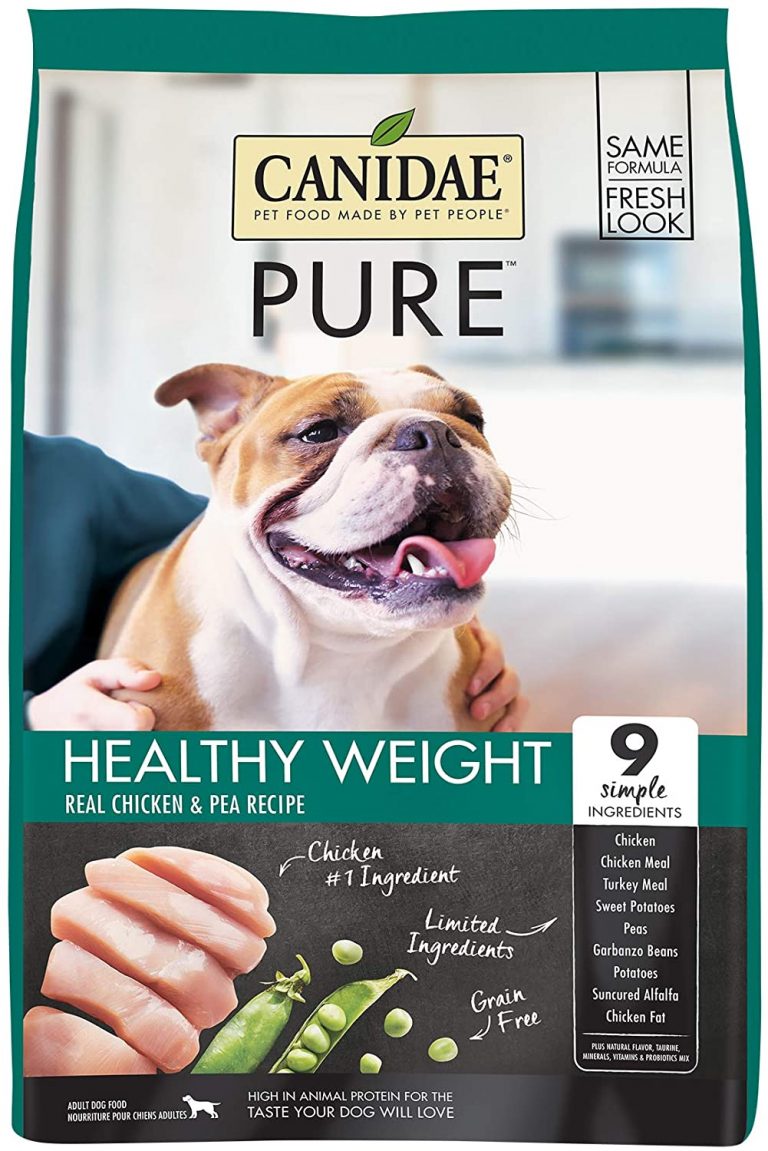 Best Dog Food for English Bulldogs with Skin Allergies