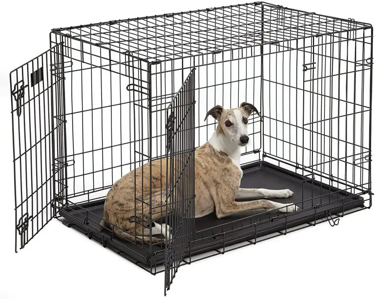 Doggy Housing: Can a Dog Crate Be Too Big