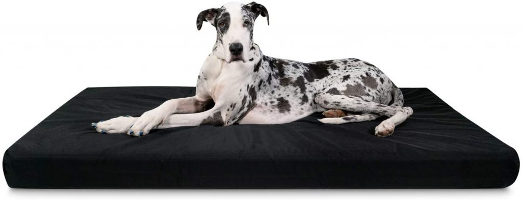 best dog bed for English Bulldog