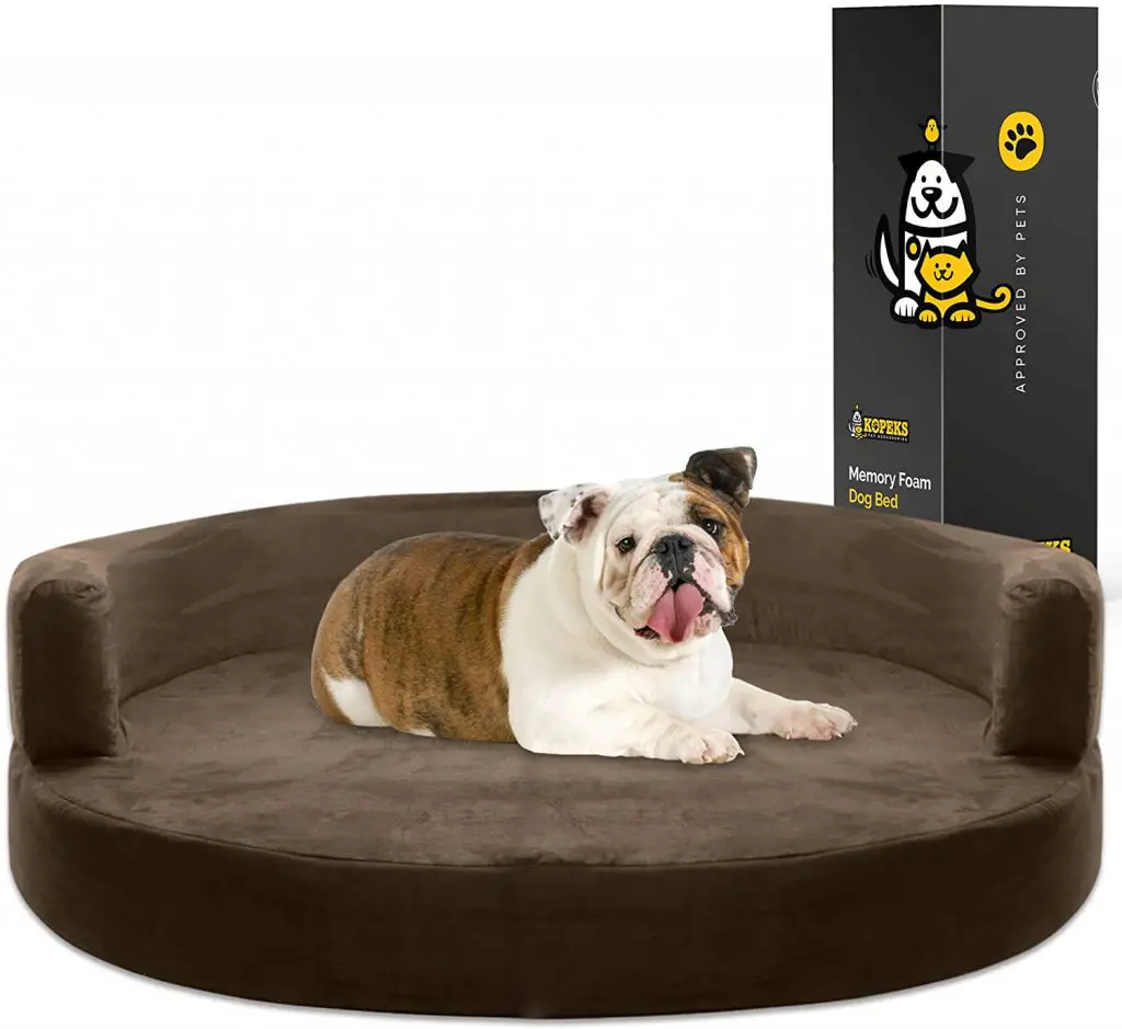 Best Dog Bed for English Bulldog My Top 8 Picks!