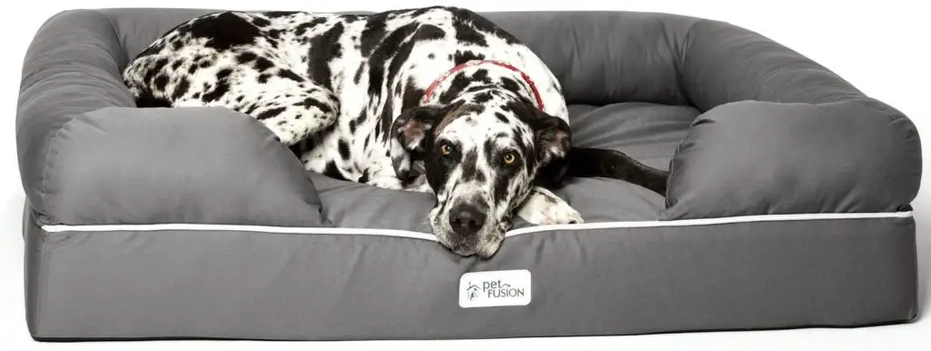 best dog bed for English Bulldog