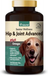 Best Joint Supplement for Bulldogs