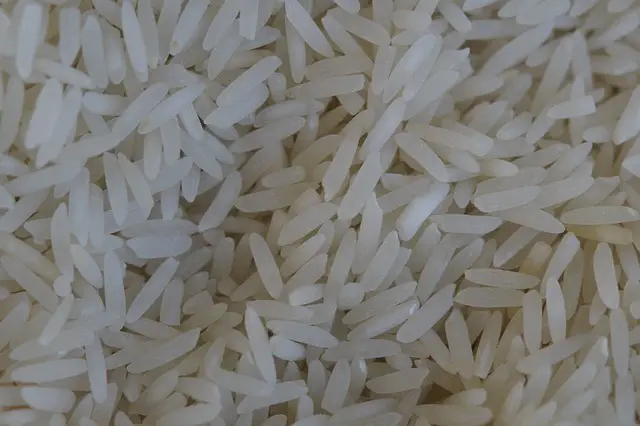 CAN DOGS EAT LONG-GRAIN WHITE RICE