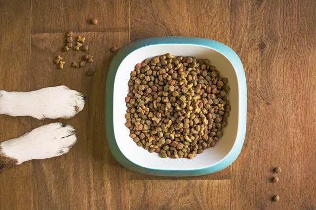 How much dry food should 5-week old puppies eat