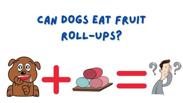 CAN DOGS EAT FRUIT ROLL-UPS
