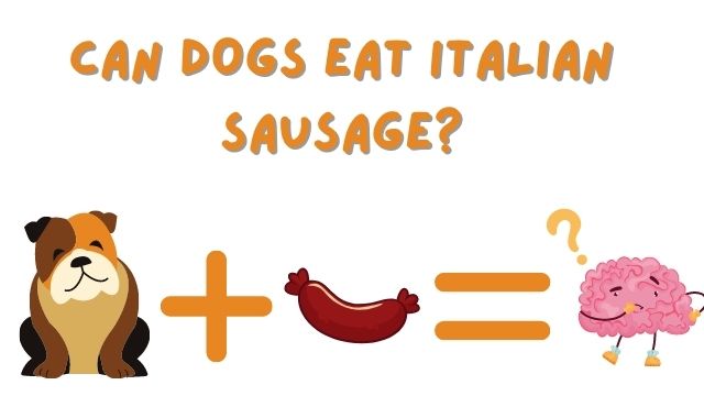 CAN DOGS EAT ITALIAN SAUSAGE