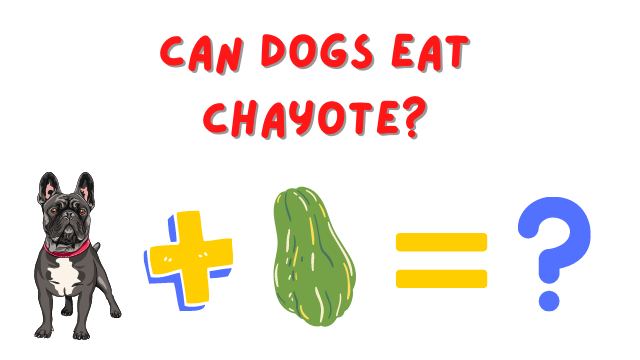 Can Dogs Eat Chayote? Cooked vs Raw - Bulldogpapa