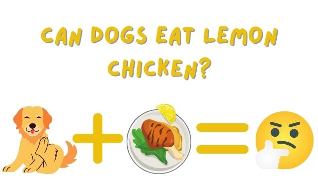 Can Dogs Eat Lemon Chicken