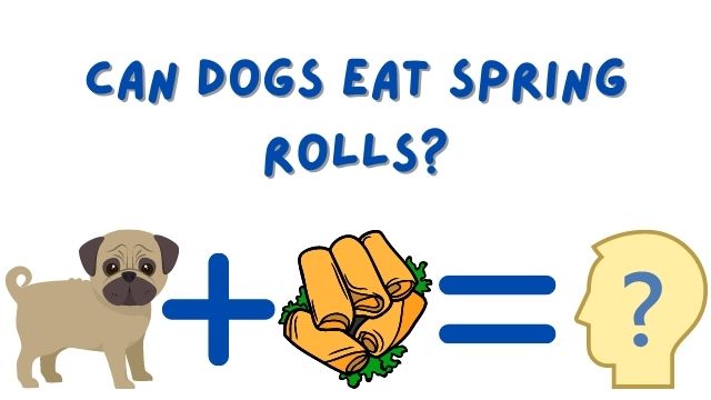 Can Dogs Eat Spring Rolls
