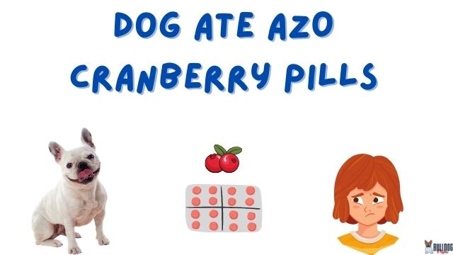 Dog Ate AZO Cranberry Pills