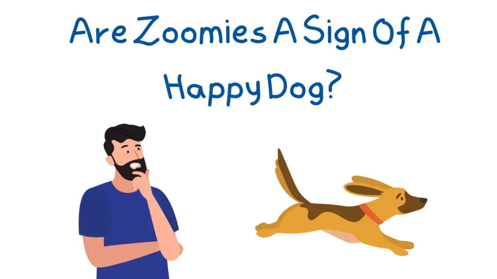An image of a man with a running dog and the title "are zoomies a sign of a happy dog?"