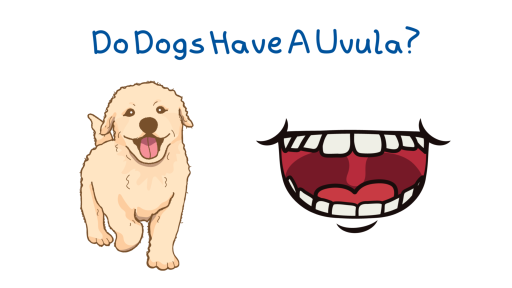 An image of a puppy and a mouth containing a uvula