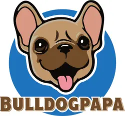 Bulldogpapa