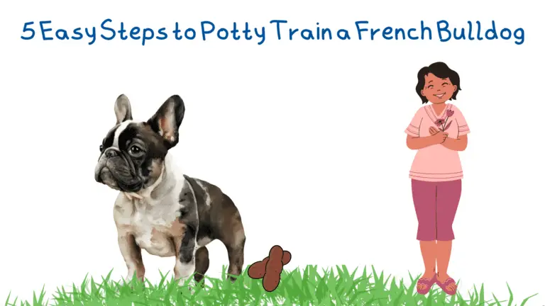 5 Easy Steps to Potty Train a French Bulldog