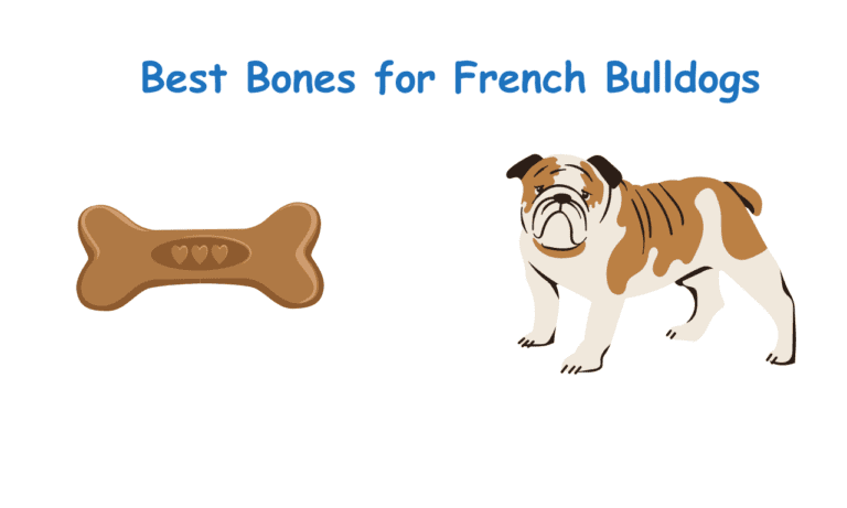 Best Bones for French Bulldogs