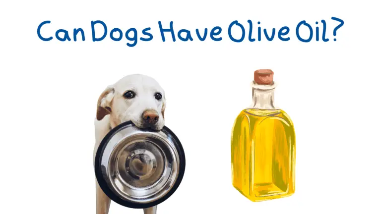 A dog with a food bowl in its mouth next to a jar of olive oil.