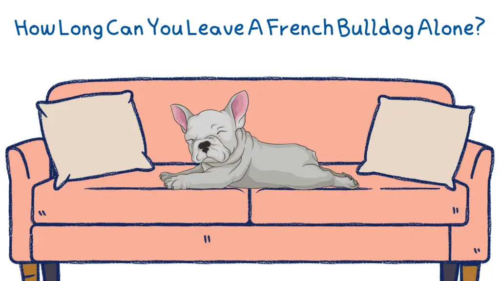 How Long Can You Leave A French Bulldog Alone?