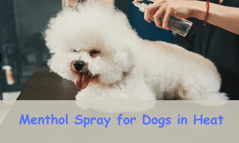 Menthol Spray for Dogs in Heat